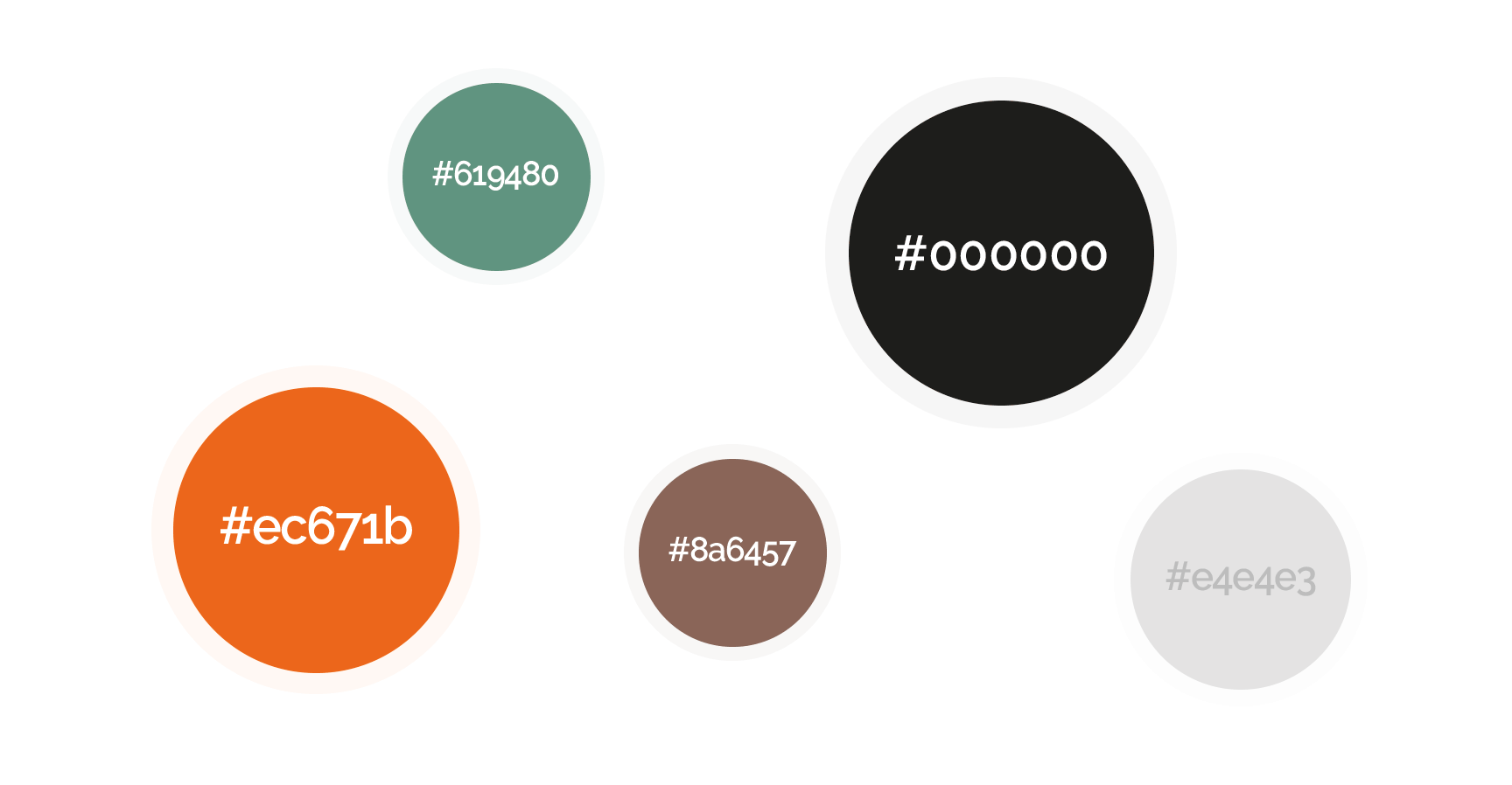 Palette colori Cisalfa con campioni circolari e codici colore