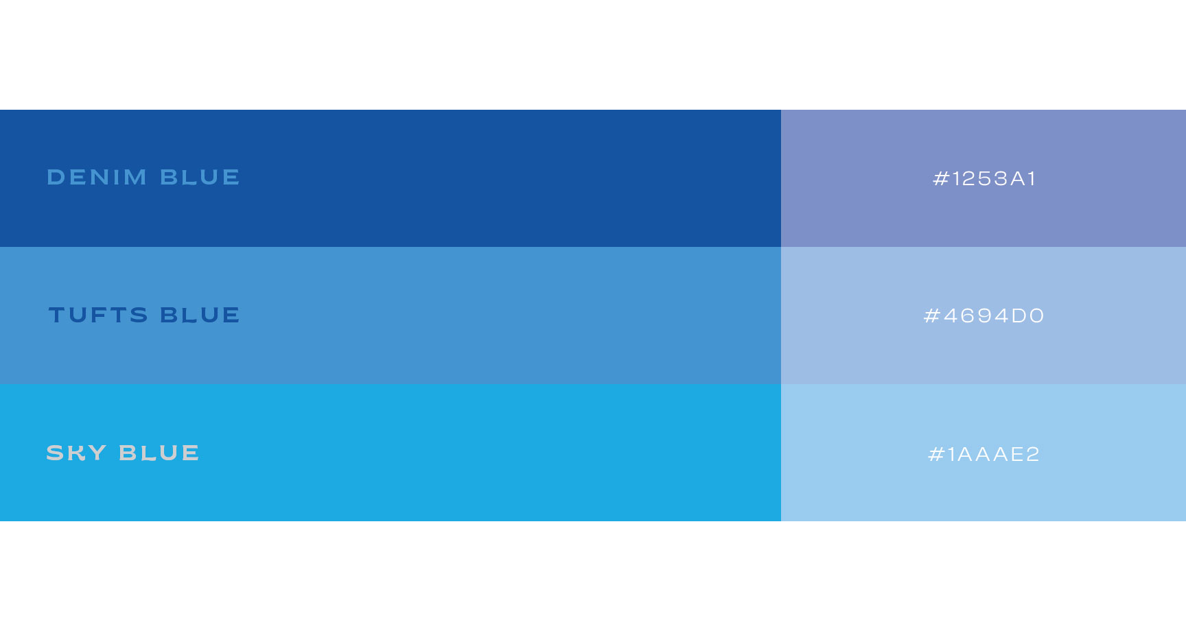 Palette Seap con le tonalità Denim Blue, Tufts Blue e Sky Blue